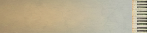 Günther Brackmann Titelbild